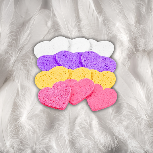 Organic Silk Sponge 1pcs